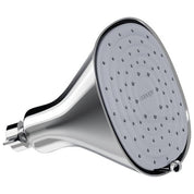 Filtered Showerhead