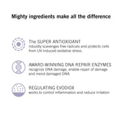 DNA Total Repair